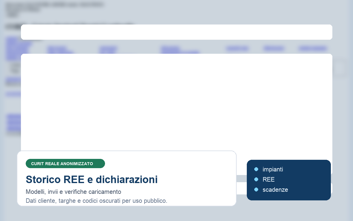 Storico REE e dichiarazioni - schermata CURIT reale anonimizzata